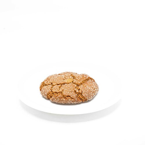 Seasonal Cookie: Ginger Cookie